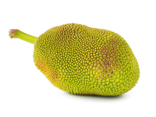 Jackfruit image