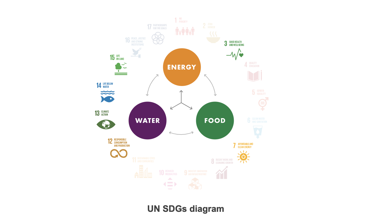 UN SDG Diagram Brazil